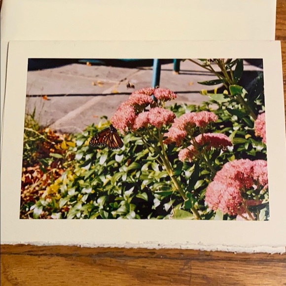 Handmade Flower Blank Cards Rustic Style🦋🌺 - Picture 4 of 7